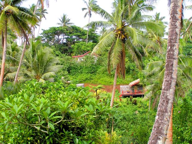 view through palm trees and foliage at cottages in fiji