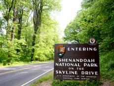 sign of Shenandoah national park and skyline drive alone side of highway in forest during the day