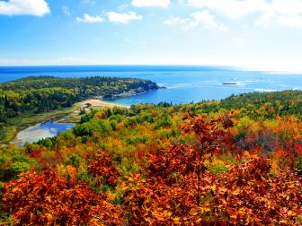 aerial view fall foliage colored leaves ocean inlet acadia national park maine daytime
