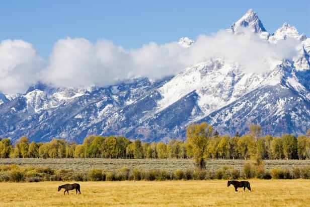 Apparently, no landscape says rugged individualism more timelessly than Grand Tetons National Park in Wyoming. Django Unchained, Brokeback Mountain, Shane and Rocky IV all include scenes shot in the Tetons.