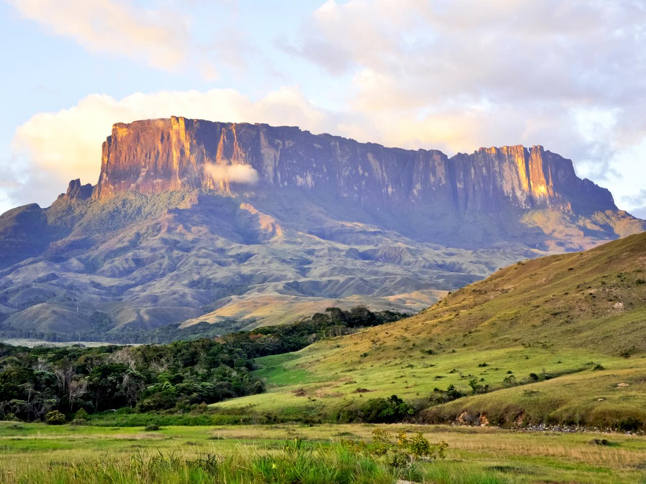 Top 10 des Tentures Nature