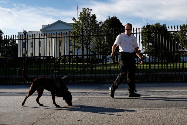 WASHINGTON, DC - SEPTEMBER 23:  A uniformed Secret Service officer patrols outside the White House on Pennsylvania Avenue with a member of the canine team on September 23, 2014 in Washington, DC.  An additional small fence has been added to the perimeter of the White House following an incident last week where a man jumped the fence and gained access to the interior of the building.  (Photo by Win McNamee/Getty Images)