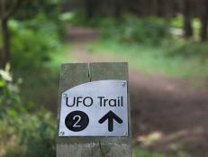 Direction pointer to footpath trail to site of UFO landing near former USAF base at Rendlesham forest, Woodbridge, Suffolk, England (Photo by: Geography Photos/Universal Images Group via Getty Images)