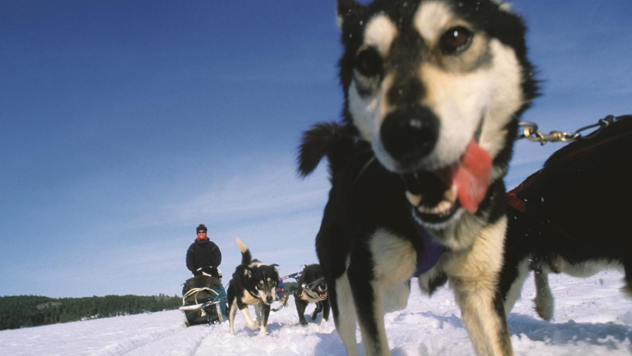 10 Best Ways to Embrace Winter on America's North Coast