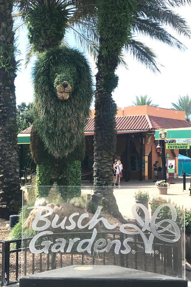 Visit Busch Gardens Tampa Bay