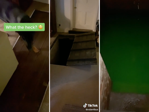 Man Discovers Mysterious 'Swamp' Under Trap Door In Vacation Rental Home