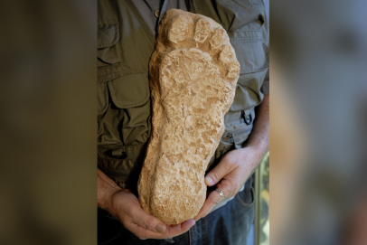 Bill could make Bigfoot state's official cryptid