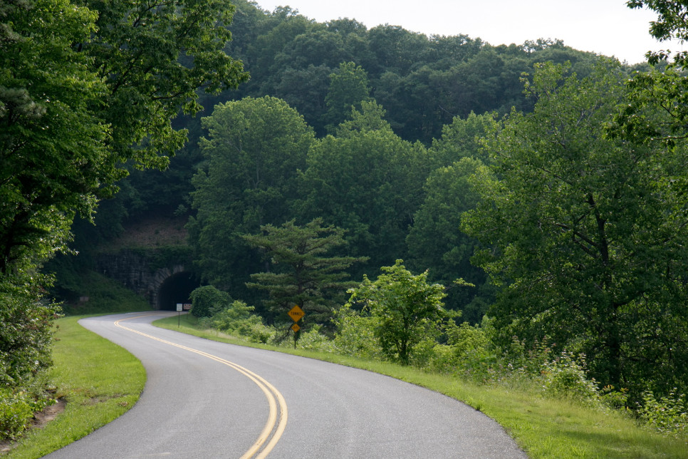 The Appalachian Trail—Bluff Mountain, Virginia