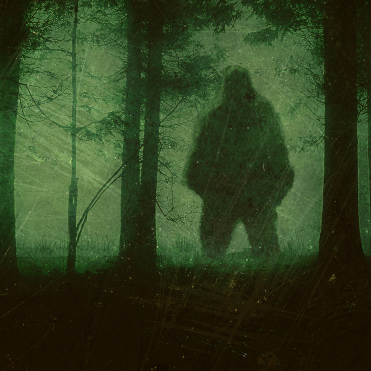 Carolina Bigfoot hunters claim sighting