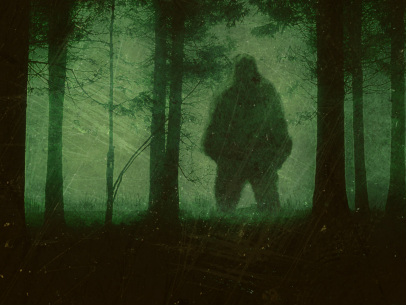 8 Best Places to Spot Bigfoot In The U.S. | When Monsters Attack