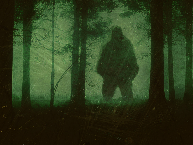 Bigfoot figure standing in the woods