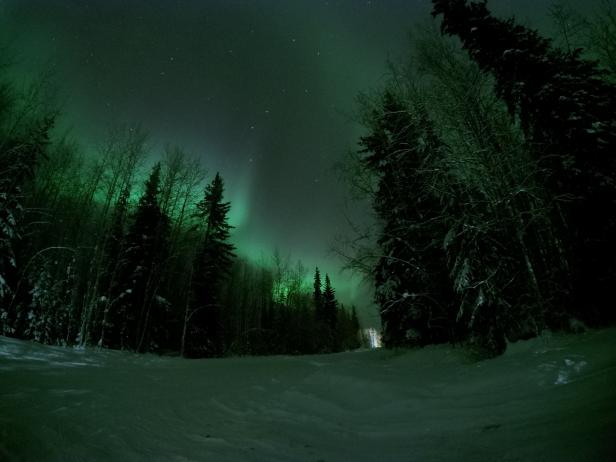 Photo Taken In North Pole, United States at night green lights in the sky trees snow