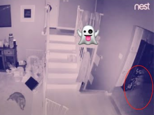 infrared camera ghost