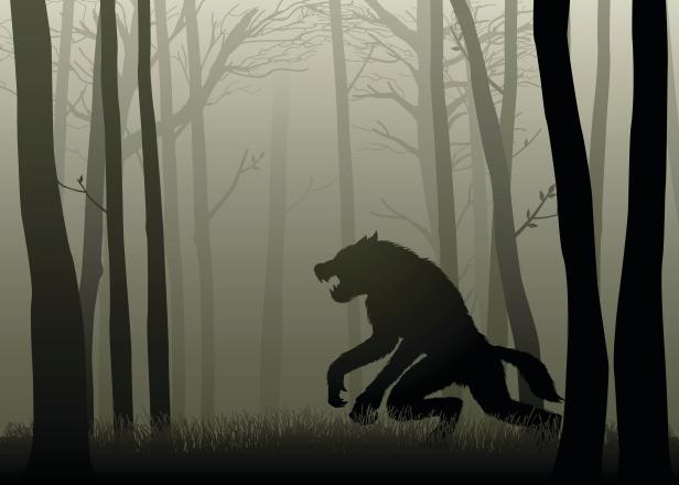 A Werewolf lurking in the dark woods