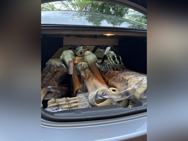 Bones from the 12-ft skeleton filling Beth's sister's car.