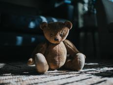 Brown teddy bear, sitting in sun streams.