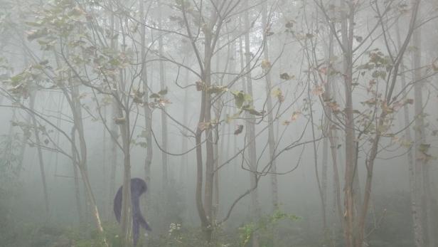 A creature walks in the forest in Bhutan. It may look like a yeti or bigfoot.