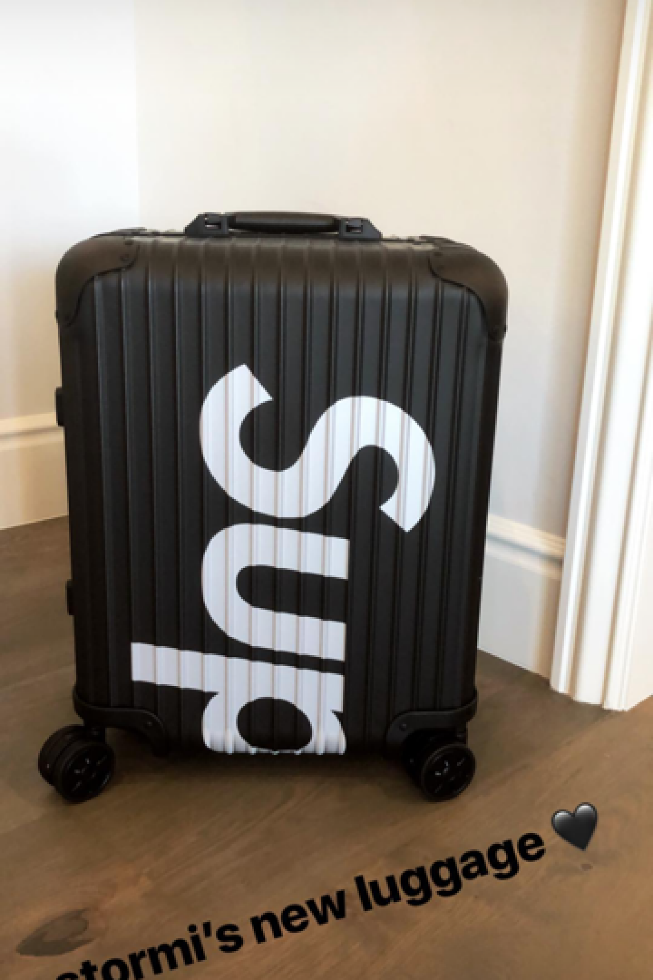 celebrity travel luggage