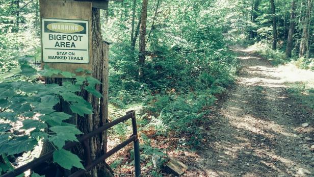 8 Best Places To Spot Bigfoot When Monsters Attack Travel Channel