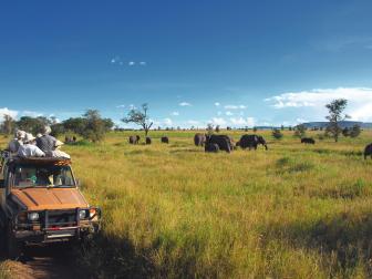 Safari goers watching elephants on the Serengeti Plain in Tanzania