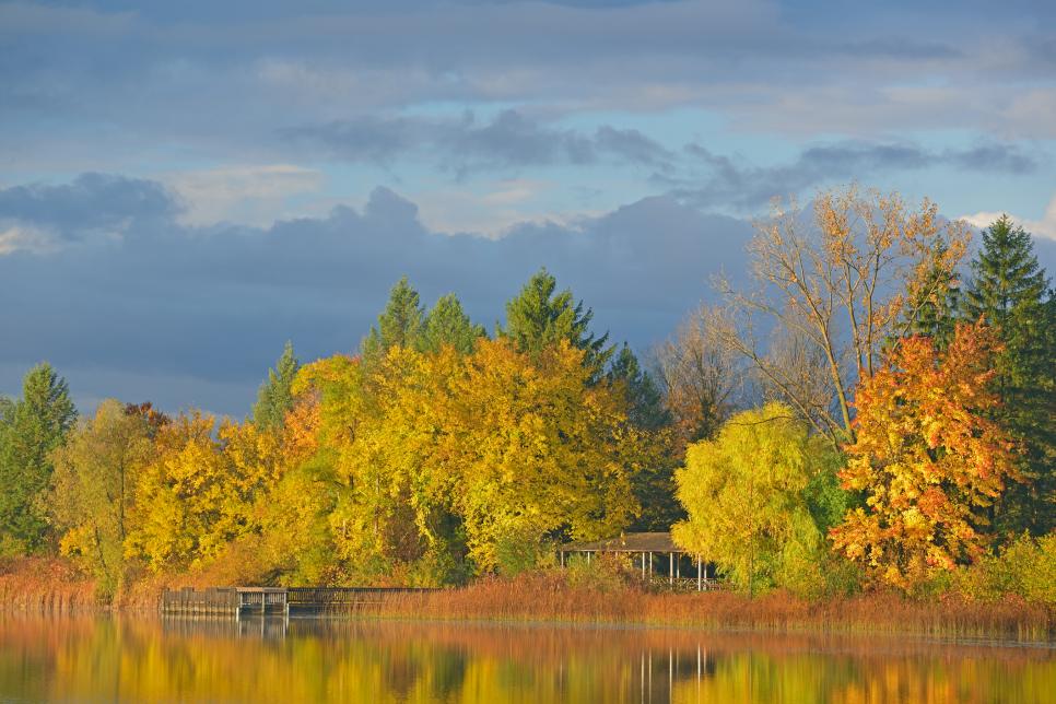 America's Best Fall Foliage Road Trips : TravelChannel.com | Travel Channel