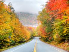 Here are some tips to make the most of your leaf-peeping road trip.