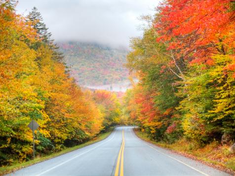 Leaf-Peeping Road Trip Tips