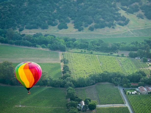 Hot air balloon floats over the vineyards of Napa Valley, California at sunrise.