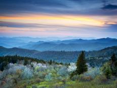 Scenic Blue Ridge Parkway Appalachians Smoky Mountains Spring Landscape with May blossoms