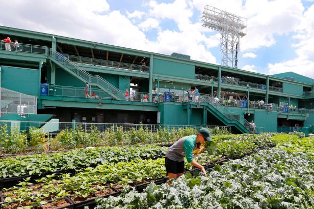 Not even the Rooftop is saving the Colorado Rockies now - Denver Sports