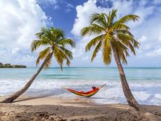 Woman lying on hammock between palm trees at beach, Martinique, Caribbean.