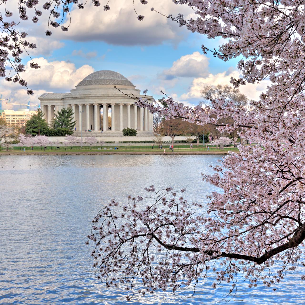 What to Do in Washington D.C. This Spring