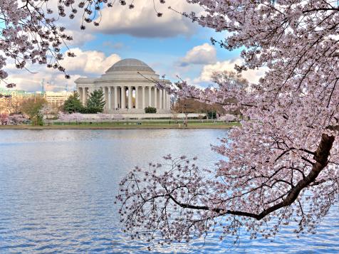 First Person: A First-Timer's Guide to Visiting Washington, D.C. in the Spring