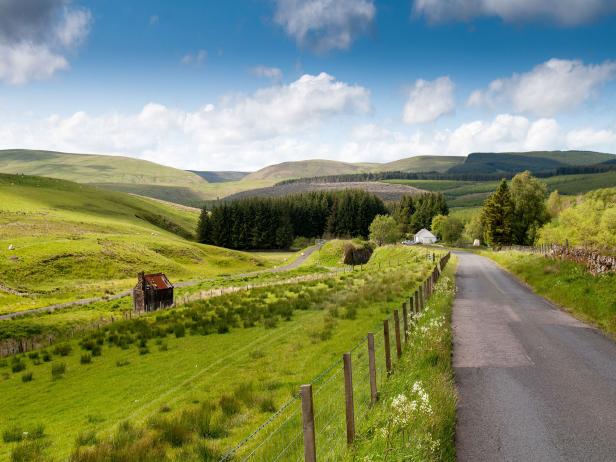 A lane running through moorland and livestock pastures at Myredykes in the Cheviot Hills on the border of England and Scotland.