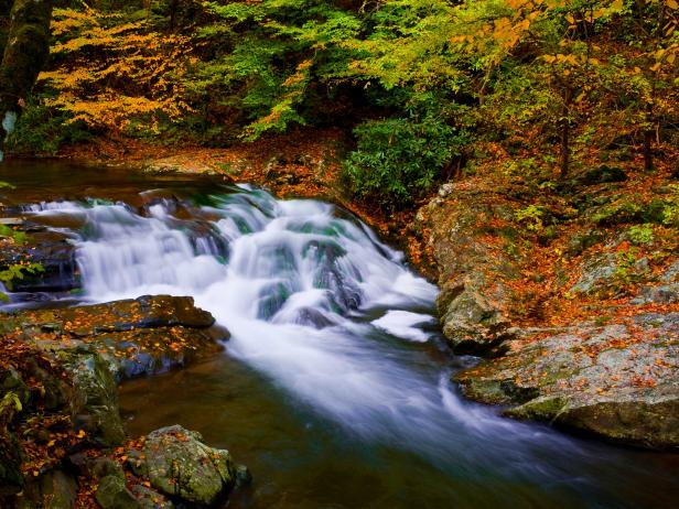 https://travel.home.sndimg.com/content/dam/images/travel/stock/2017/6/14/0/GettyImages_RARoda_GreatSmokeyMountainsNationalPark_97547040.jpg.rend.hgtvcom.616.462.suffix/1497479264596.jpeg