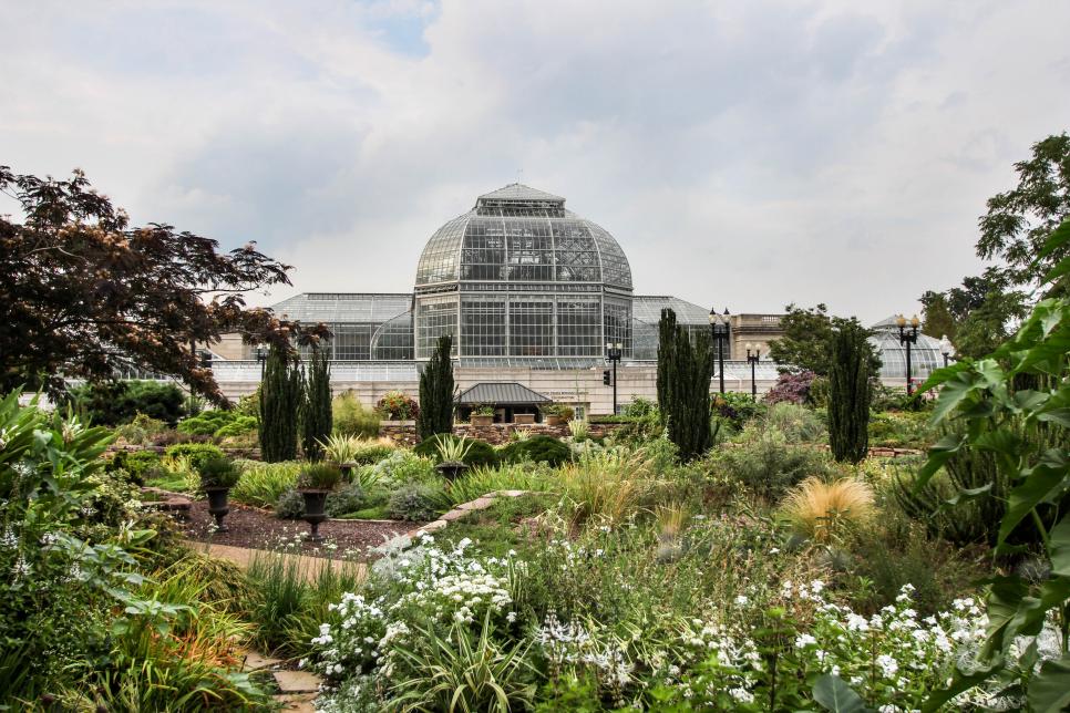 Visit a Botanical Garden