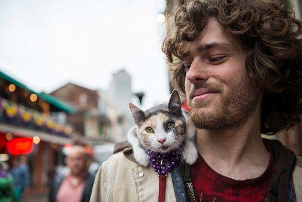 A cat with Mardi Gras beads around its neck rests on a young man's shoulder on Bourbon Street in New Orleans, Louisiana.