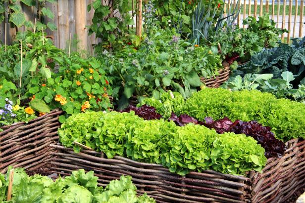 25 Incredible Vegetable Garden Ideas