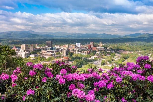 Spring time in Downtown Asheville overlooking city skyline with wild rhododendron flowers in foreground.