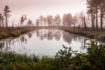 Landscape view of a lake in early morning at Seney National Wildlife Refuge, Michigan
