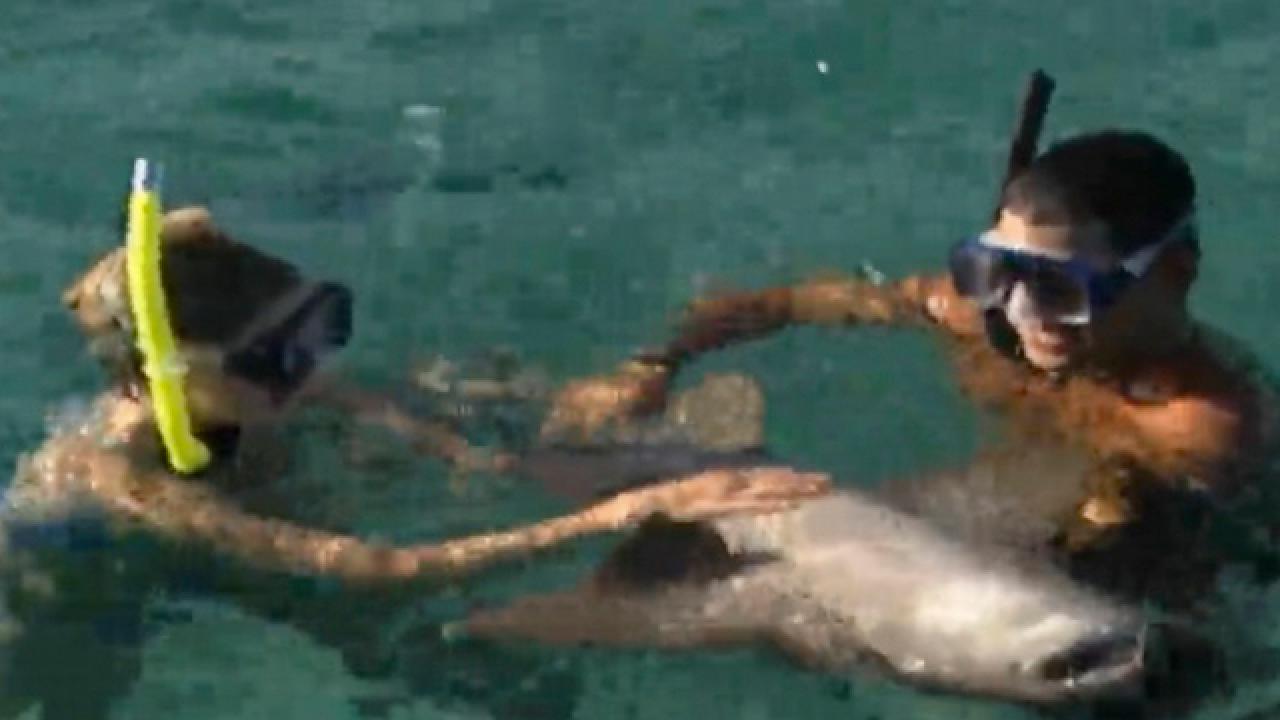 Fanathon: Snorkeling in Belize