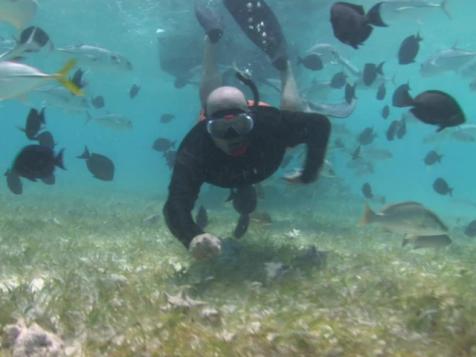 Andrew's Take: Belize Caves