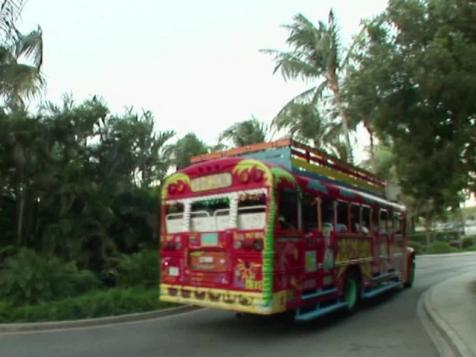 Shane O Parties in Aruba