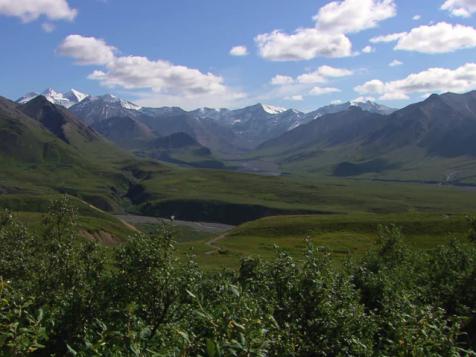 Visiting Denali National Park