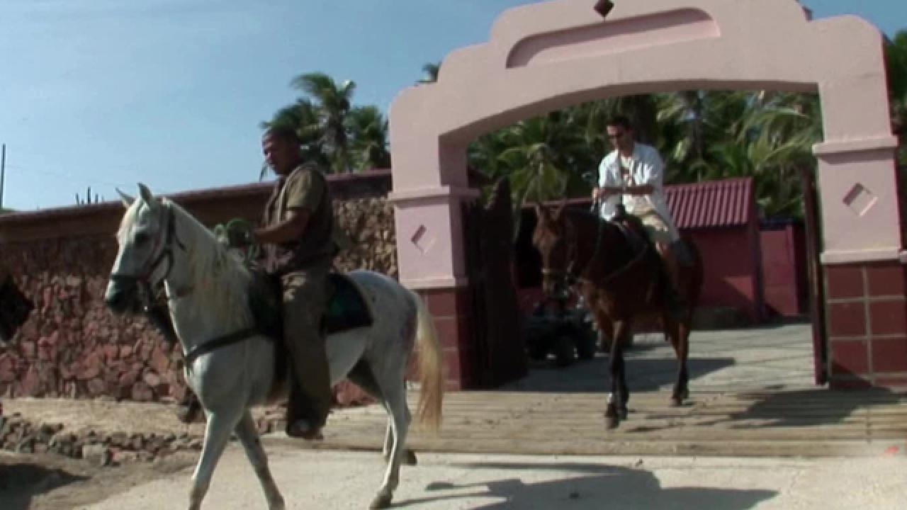 Shane O's Horseback Aruba Tour