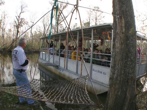 Explore New Orleans' Wetlands