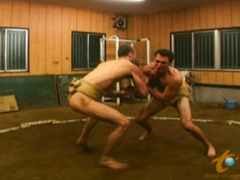 Visit a Sumo Wrestling Club