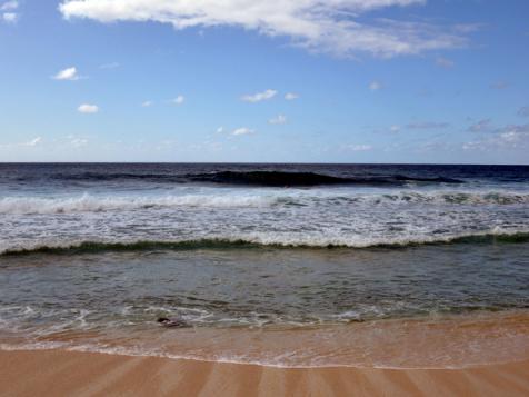 Bridget Finds the Aloha Spirit