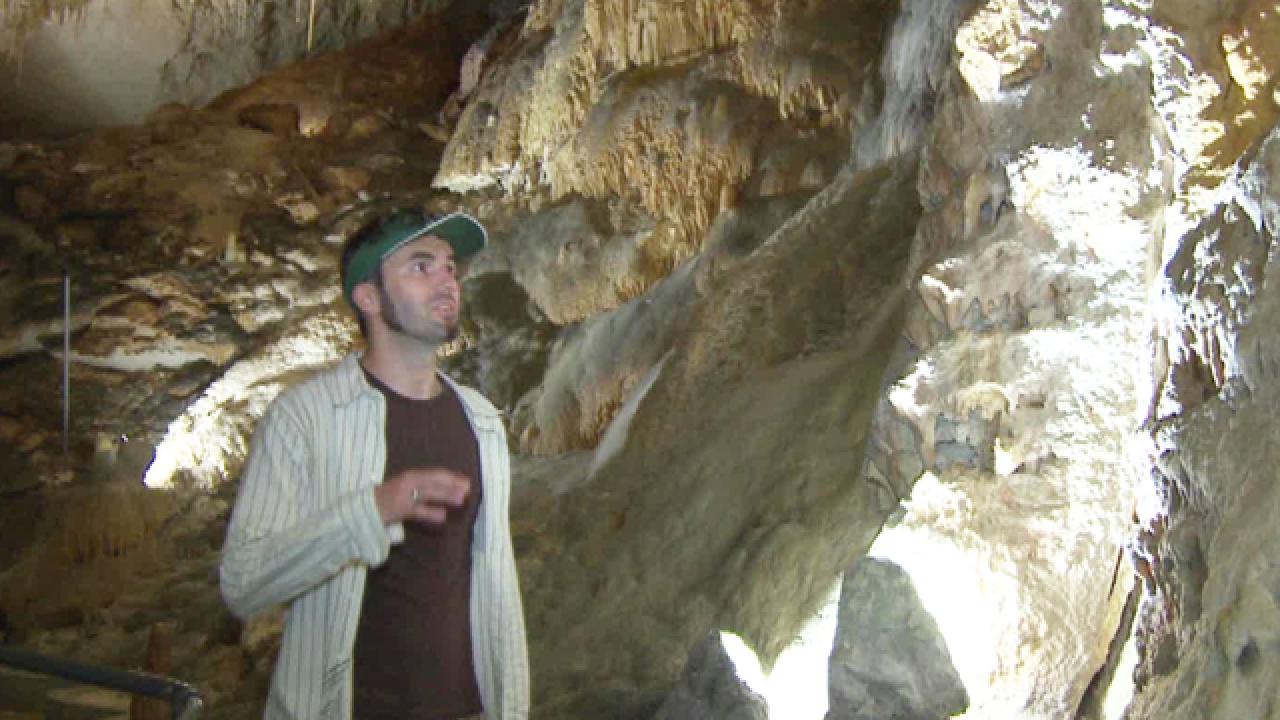 Shane O Caves in Bermuda
