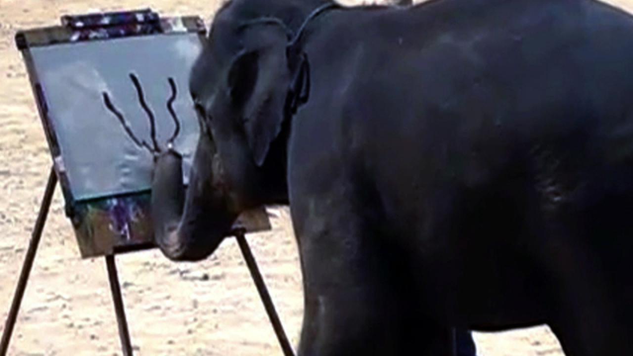 Elephant Stampede in Thailand